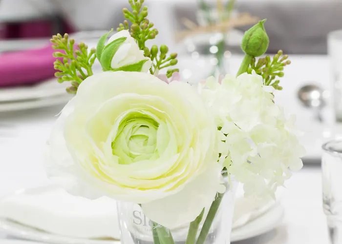 Soho Boutique Oviedo